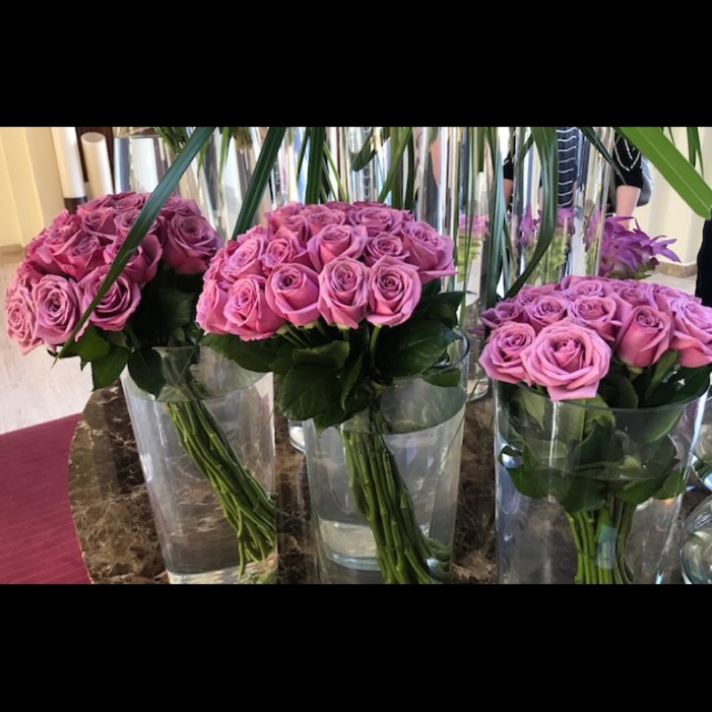 Meet your Posher, Helena